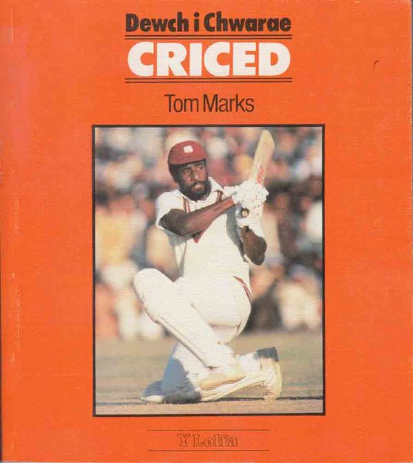 A picture of 'Dewch i Chwarae Criced' 
                      by Tom Marks